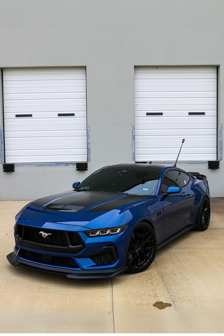 MUSTANG VI